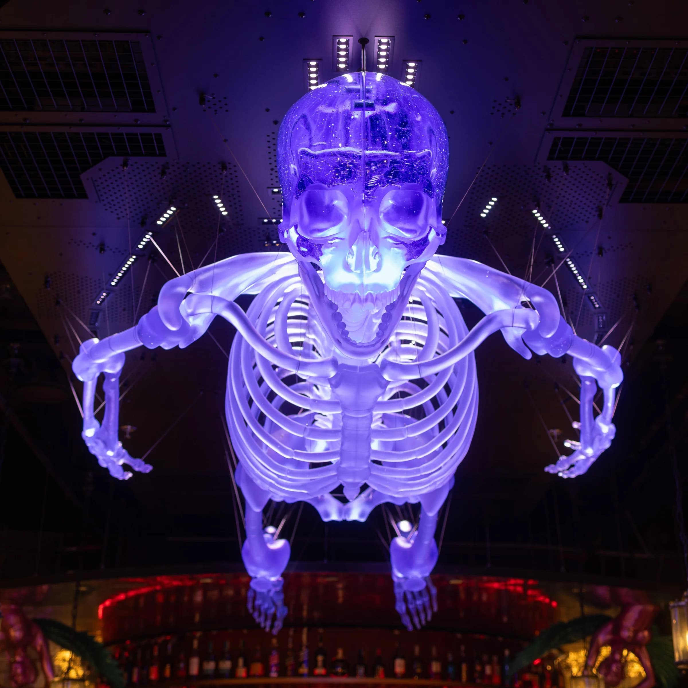 Glass Skeleton Installation